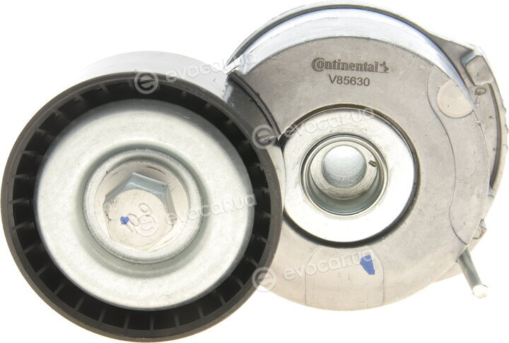 Continental 6PK1244K1
