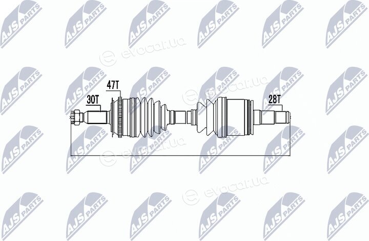 NTY NPW-MS-000