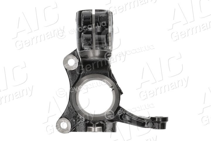 AIC 55842