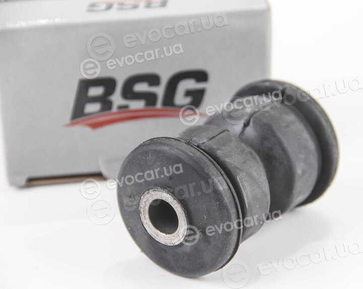 BSG BSG60700222