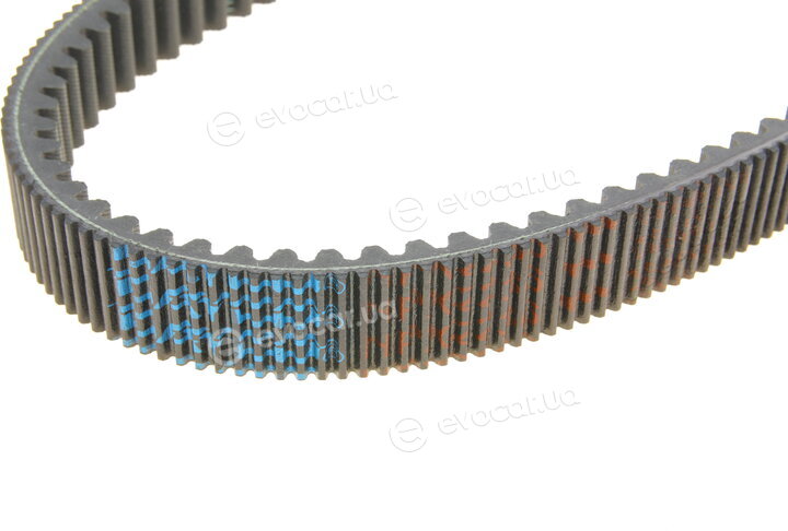 Dayco HPX2236