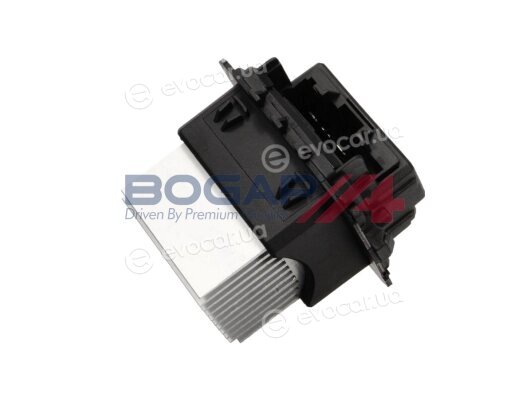 Bogap P4112102