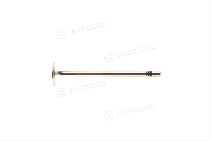 Mahle 029 VA 31971 000