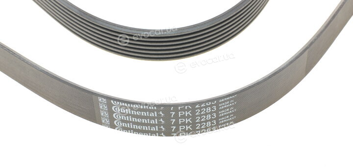 Continental 7PK2283