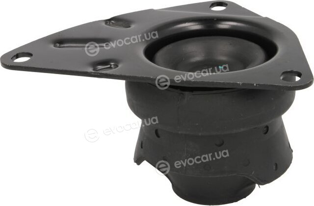 Reinhoch RH11-0026
