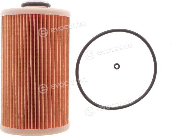 Hengst E490KP D484