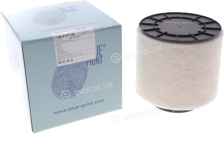 Blue Print ADV182210