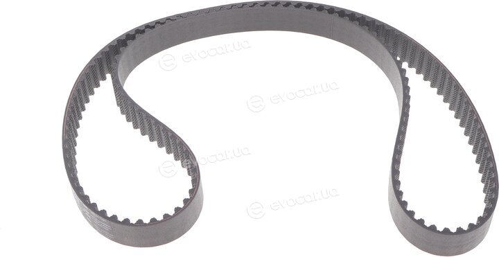 Gates KP55678XS