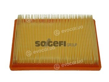 Coopers Fiaam PA7439