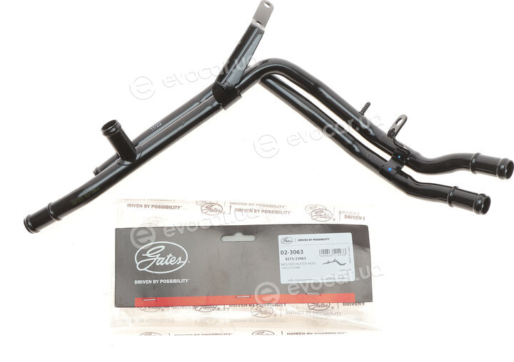 Gates 02-3063