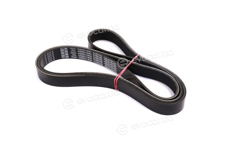 Dayco 7PK1705DT