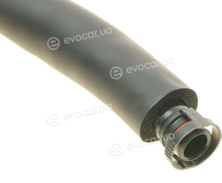 AIC 55545