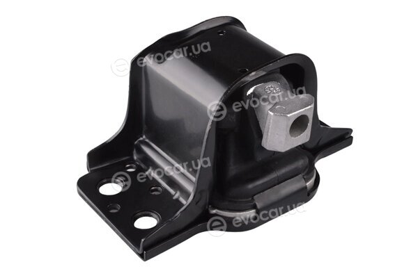 Tedgum TED42243