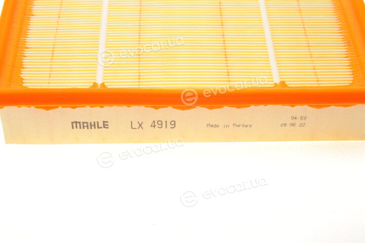 Mahle LX 4919