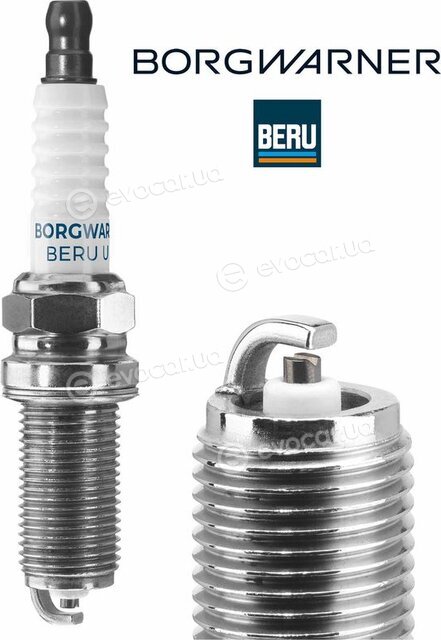 BorgWarner Z184