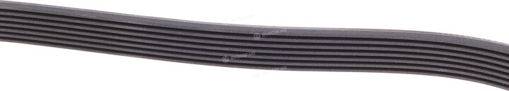 Continental 7PK1113