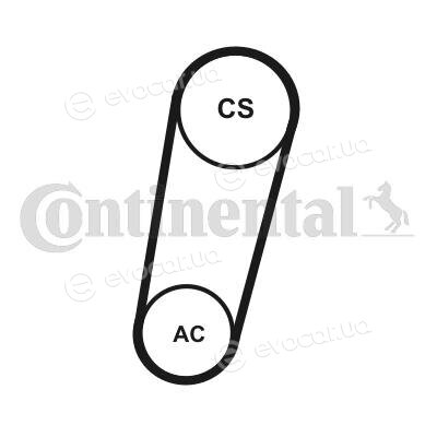 Continental 5PK705 ELAST T1