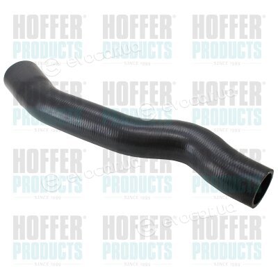 Hoffer 96979