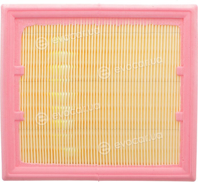Solgy 103145