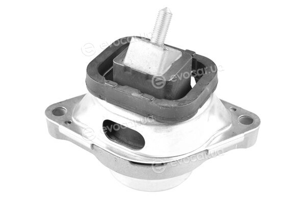 Tedgum TED57271