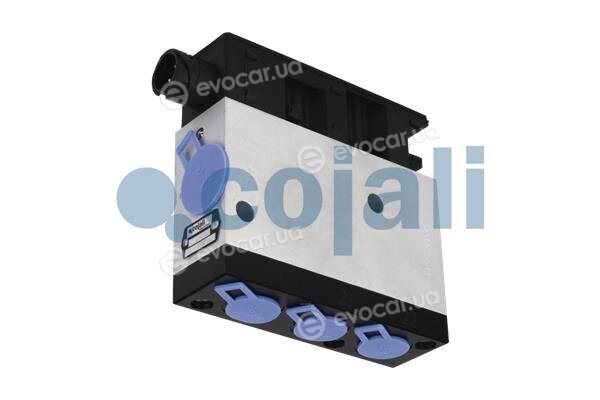 Cojali 2309100