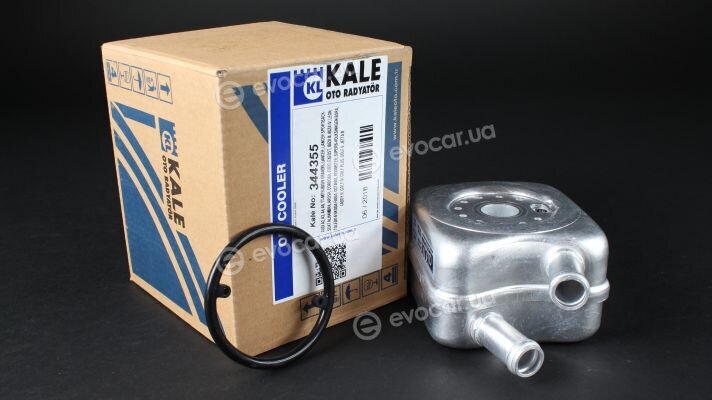 Kale 344355