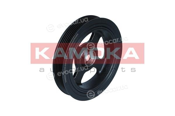 Kamoka RW100