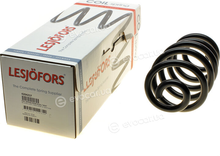 Lesjofors 4204257