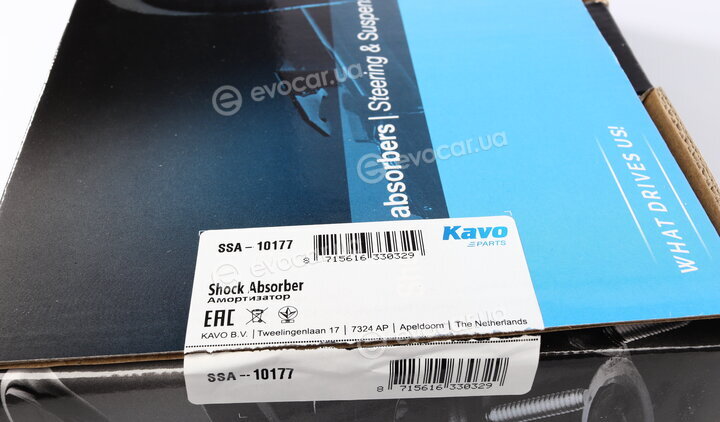 Kavo SSA-10177