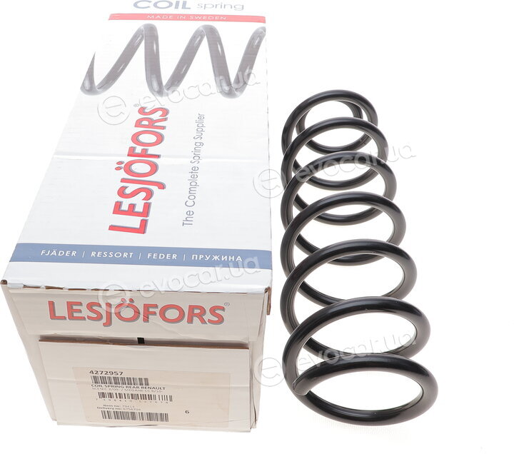 Lesjofors 4272957