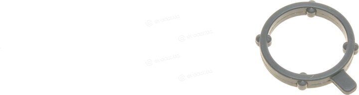Victor Reinz 02-10022-01