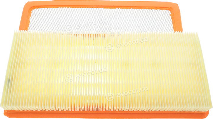 Mann C 24 006