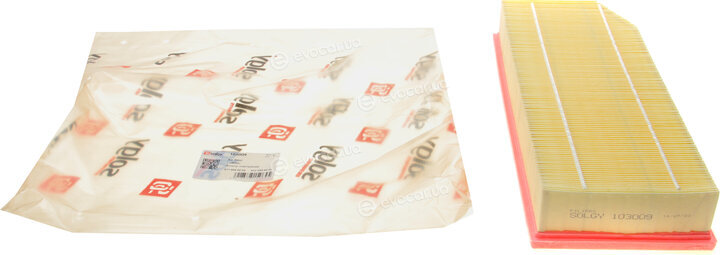 Solgy 103009