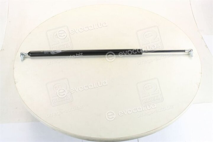 Magneti Marelli 430719044800