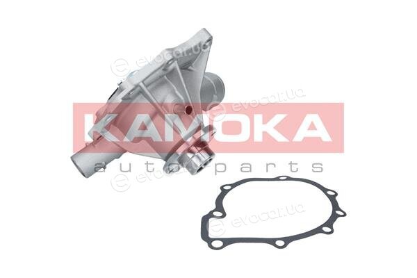 Kamoka T0189