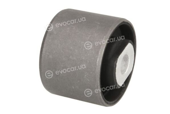 Reinhoch RH20-0004