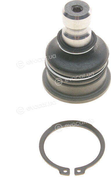 Solgy 203141