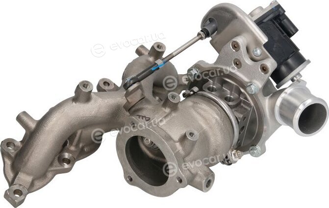 BorgWarner 16389880018