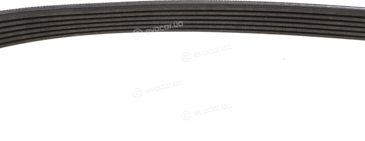 Gates 6PK803