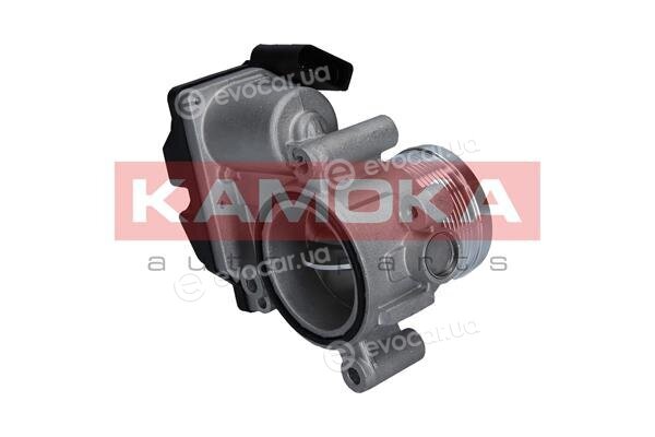Kamoka 112005