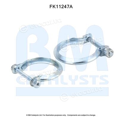 BM Catalysts FK11247