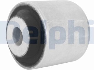 Delphi TD2081W