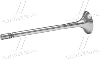 Gunes 7901