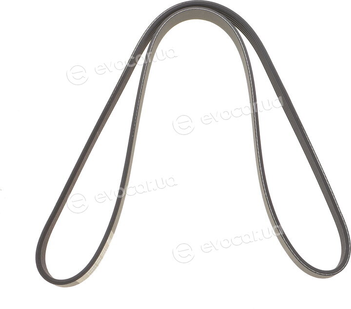 Dayco 5PK1250