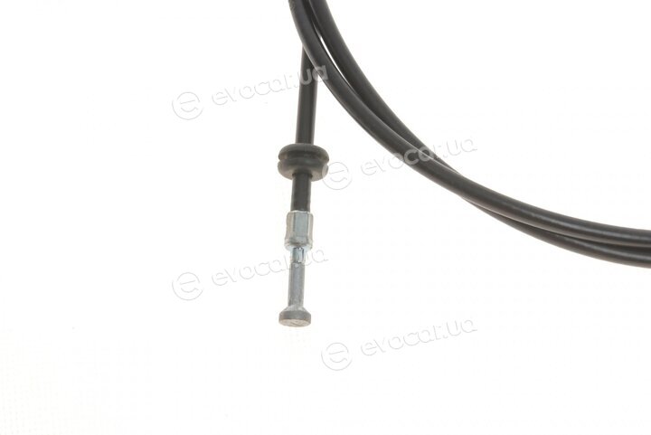 Solgy 305022