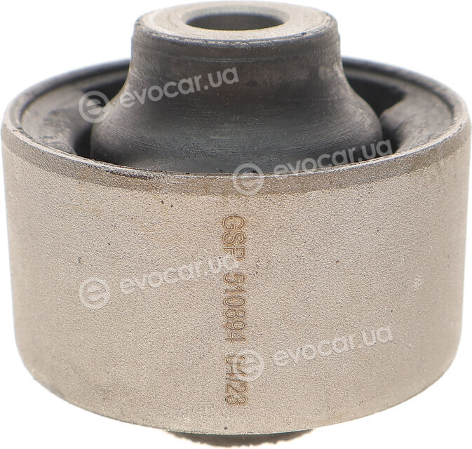 GSP 510894