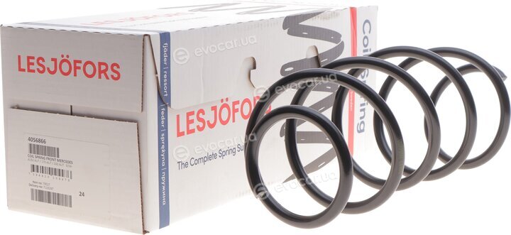 Lesjofors 4056866