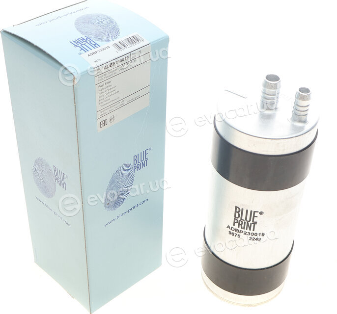 Blue Print ADBP230019