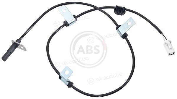 A.B.S. 31316