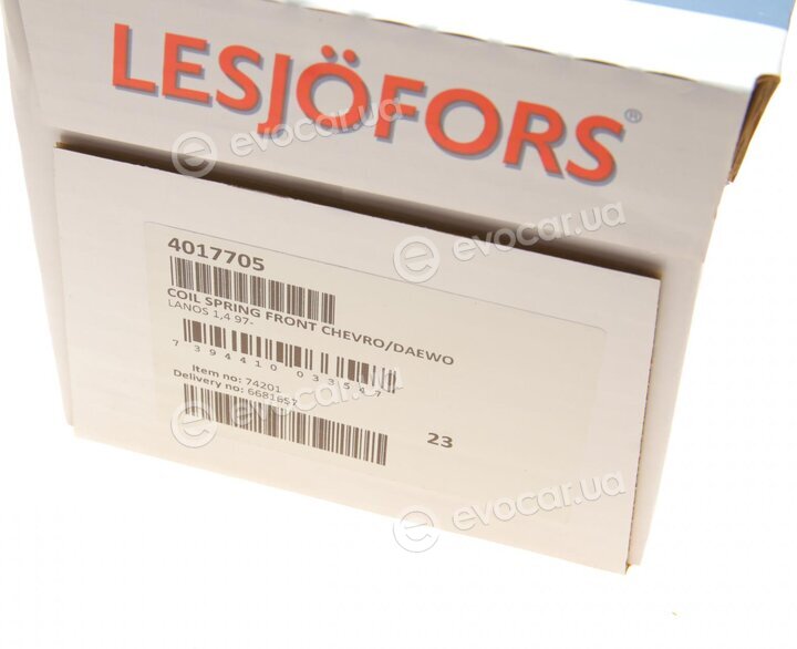 Lesjofors 4017705